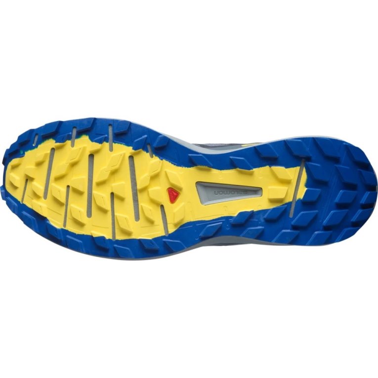 Tenis Para Trail Running Salomon Sense Ride 4 GTX Invisible Fit Hombre Grises | MX TEGA957